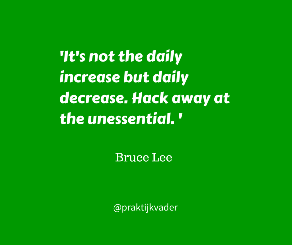 bruce lee praktijkvader