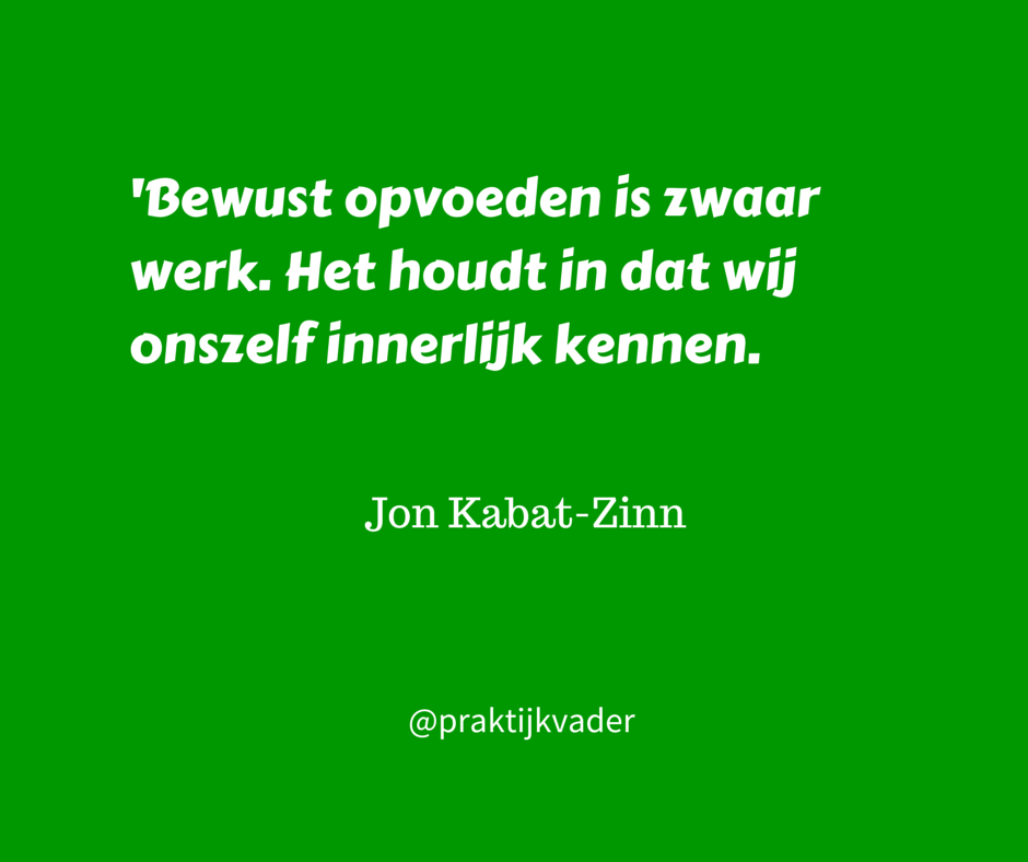 kabat zinn praktijkvader