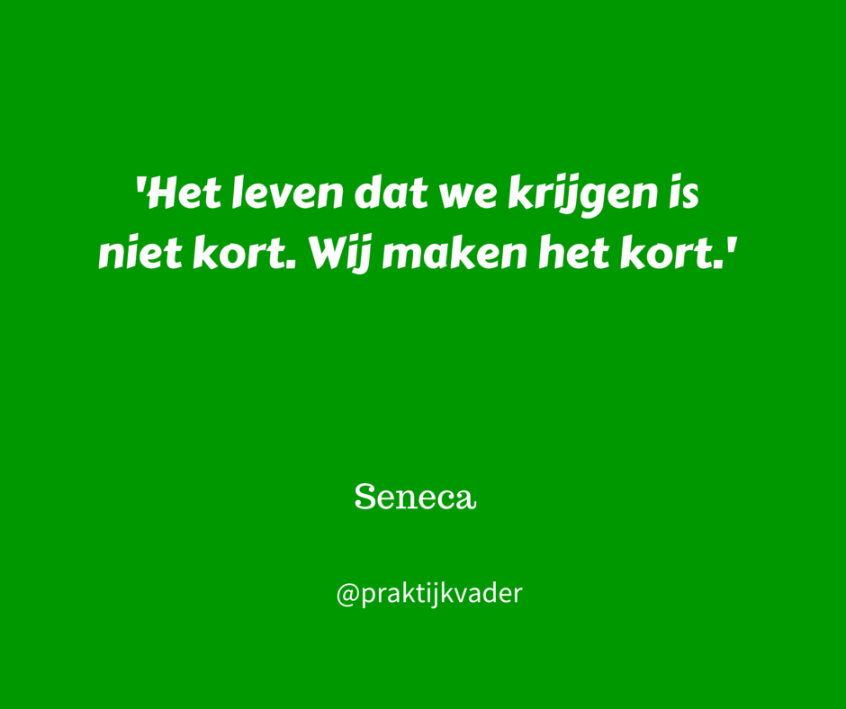 seneca praktijkvader